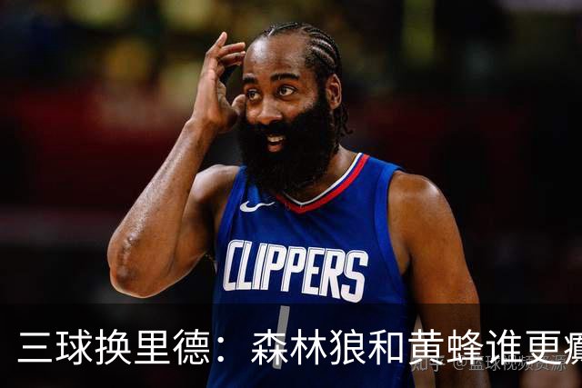 三球换里德：森林狼和黄蜂谁更癫？！